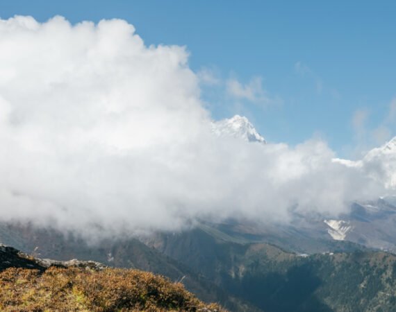 Young hiker backpacker woman using trekking poles enjoying the N