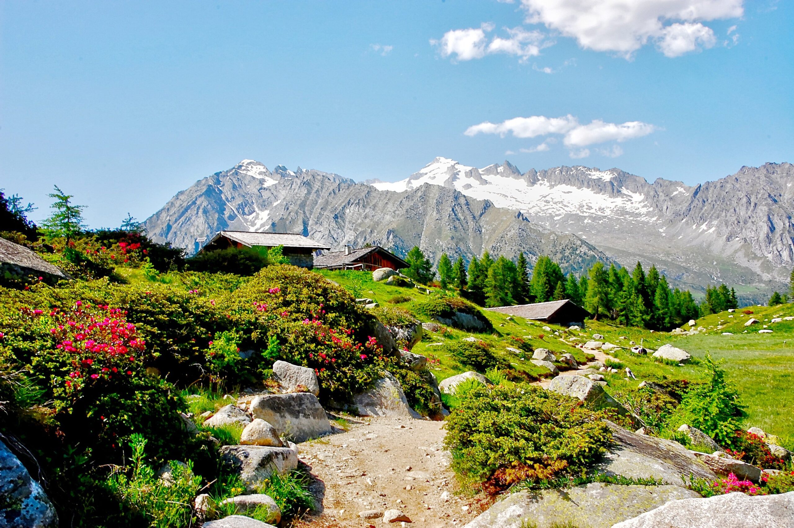 Dolomiten-Brenta